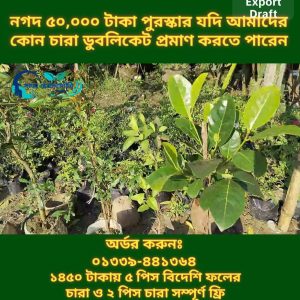 ৫ পিস বিদেশি চারার প্যাকেজ + ২ পিস চারা ফ্রি